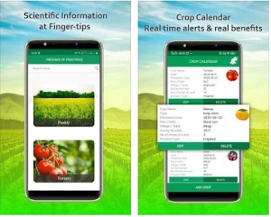 AI-Based App For Crop Disease - A Breakthrough In Agriculture Technology